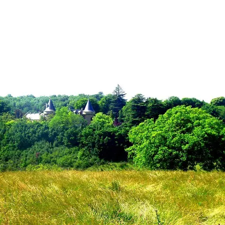 Private Pool With Stunning Views Of The Chateau!! Sunset