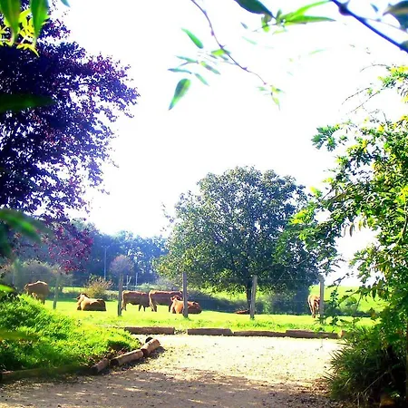 Private Pool With Stunning Views Of The Chateau!! Sunset * Rouffignac Saint-Cernin