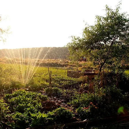 Private Pool With Stunning Views Of The Chateau!! Sunset Rouffignac Saint-Cernin