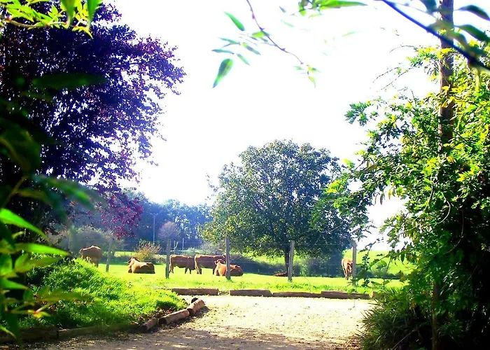 Private Pool With Stunning Views Of The Chateau!! Sunset * Rouffignac Saint-Cernin