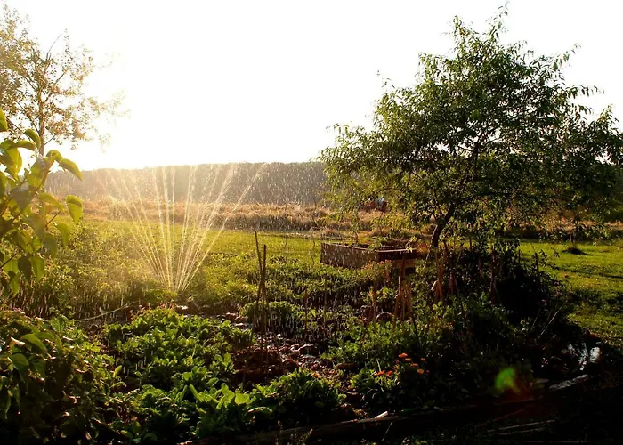 Private Pool With Stunning Views Of The Chateau!! Sunset Rouffignac Saint-Cernin